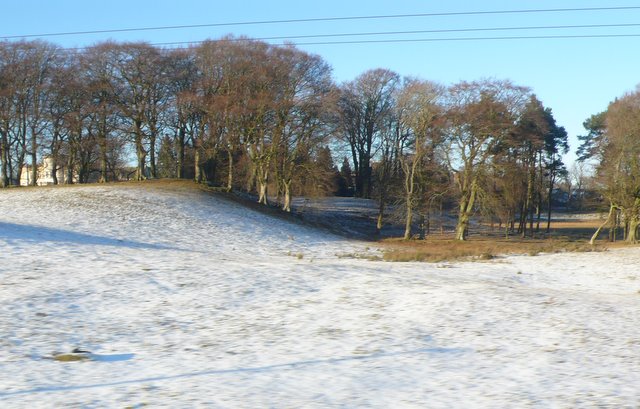 Smyllum Park in Lanark